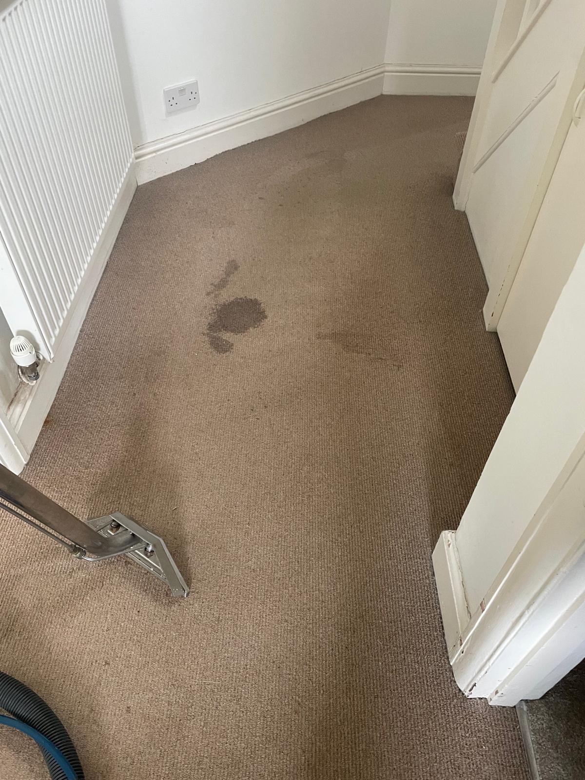 Stain Removal
